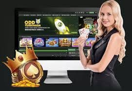 basant Match Winner par Betting Kijiye Real-Time Odds ke Saath